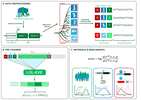 Predicting Promoter Variant Effects from Evolutionary Sequences
