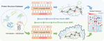 Multi-Scale Representation Learning for Protein Fitness Prediction